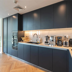 kitchen 250x250 kitchen 250x250
