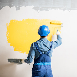 paint 250x250 paint 250x250