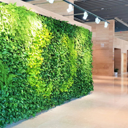 vertical gardens1 250x250 vertical gardens1 250x250
